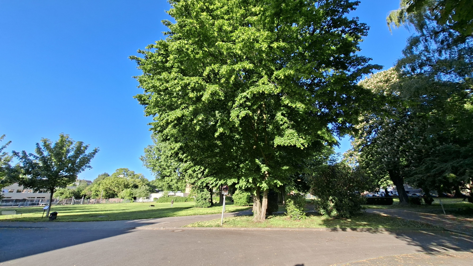 Koeln Bayenthal